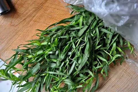 تصویر 2 از قیمت عمده سبزی ترخون خشک + شرایط خرید آسان